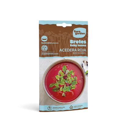 Sementes de rebentos de azedinha vermelha Eurogarden