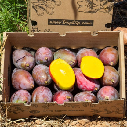 Mangos Ecológico Osteen Caja De 4kg_3