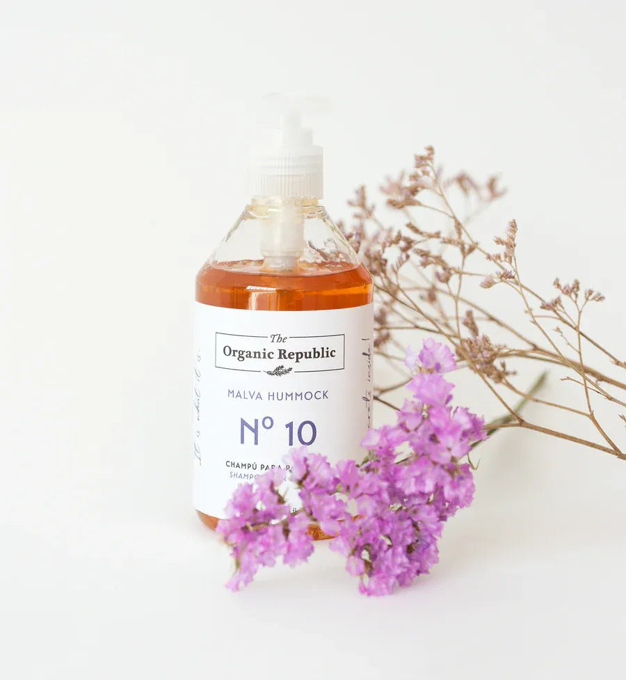 Champú Para Pelo Seco The Organic Republic 250ml_1