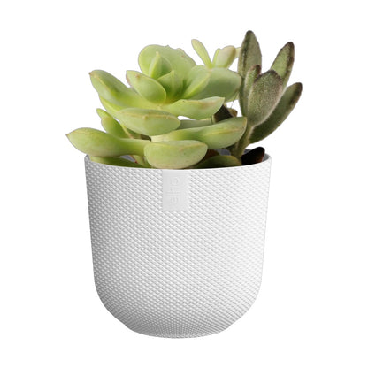 Maceta Blanco Jazz Round Mini Elho 11cm 100% reciclado