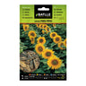 Sementes de Girassol Batlle para Cachimbos