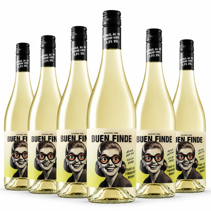 Vino Sin Alcohol 0,0% Blanco Verdejo | Pack 6 Botellas X 750 Ml | Fresco Y Con Toques Cítricos_0