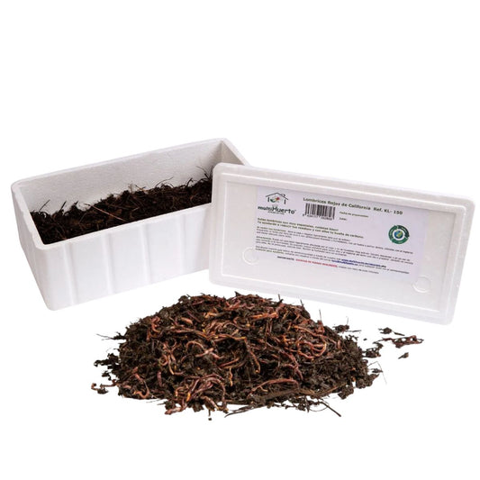 Kit minhoca vermelha californiana multi-jardim 150 unidades