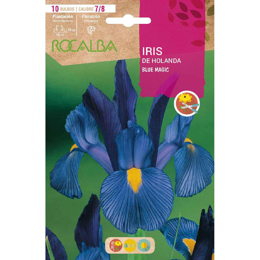 Bulbo de íris holandesa azul mágico azul 10 peças Rocalba