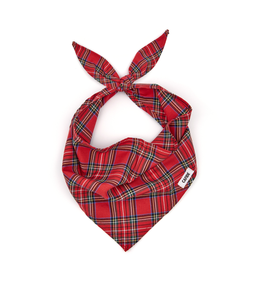 Cafide Bandana Para Perro Tartán Royal Steward. Modelo Nata. Talla M (30-38 Cm)_0
