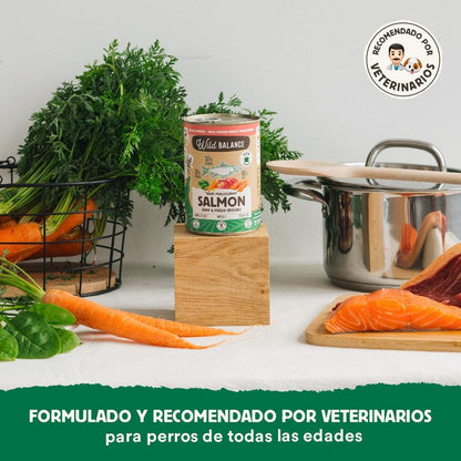 Wild Balance Salmão e Carne Barf Lata para Cães 400g