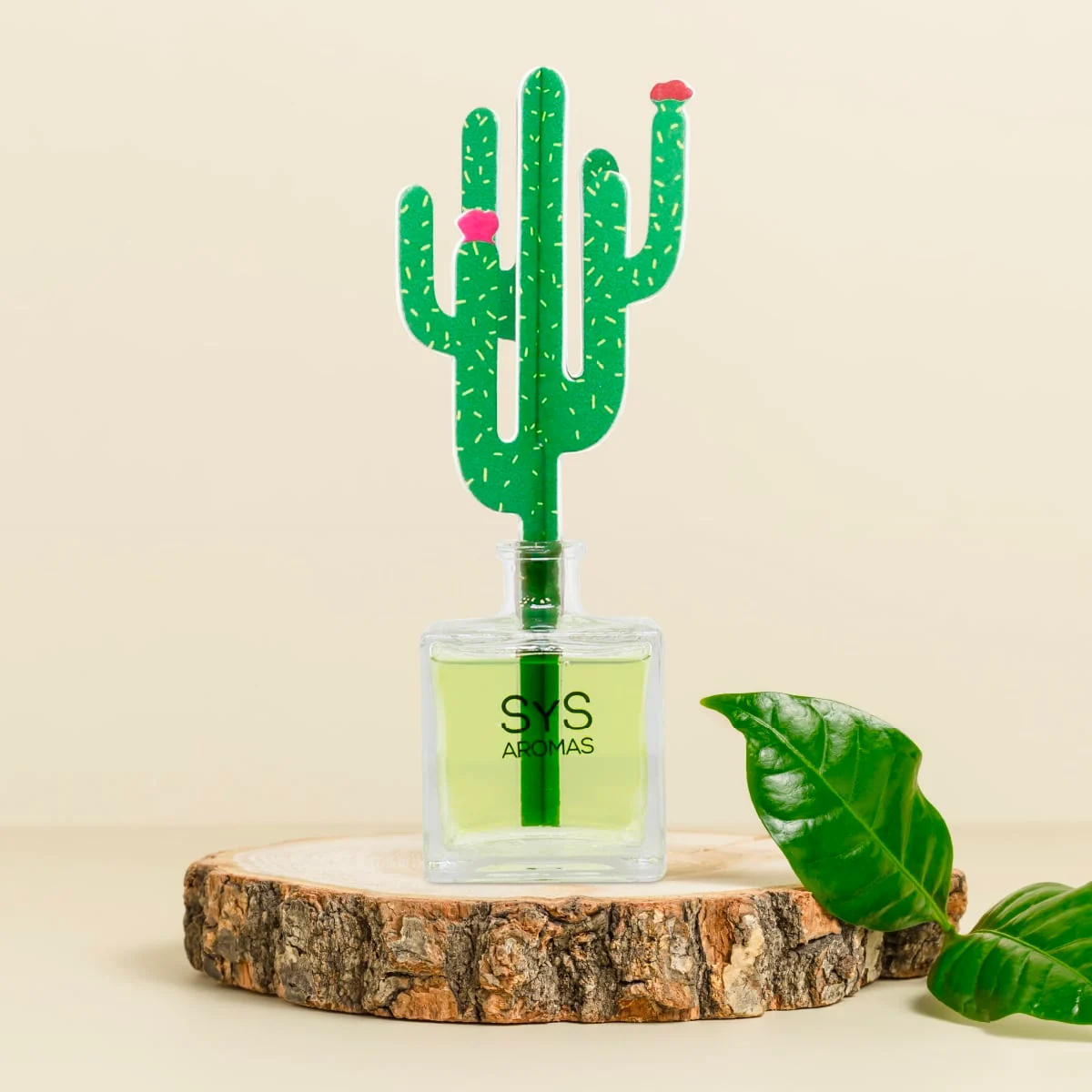 Difusor de Varillas Cactus Aloe Vera y Bambú 90 ml | Aroma Fresco Natural | Mikado Decorativo | Ambiente Relajante_1
