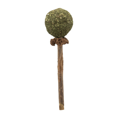 Piruleta Matatabi, Trixie 11 cm