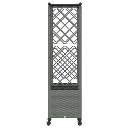 Cama Elevada Con Trellis Y Techo Gris Claro 163,5 X 40 X 142 Cm_3