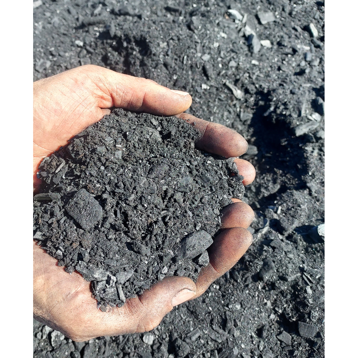 Arbochar - Enmienda con biochar para árboles- LivingChar 40L_4