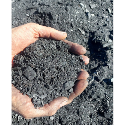 Arbochar - Enmienda con biochar para árboles- LivingChar 40L_4