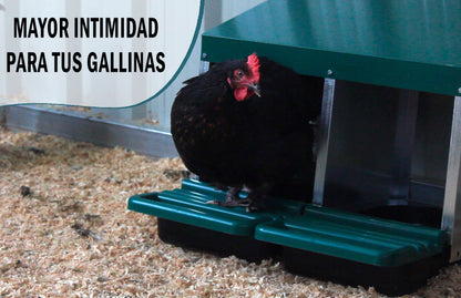 Ponedero Para Gallinas Con Cajón Escamoteador - 6 Huecos_3