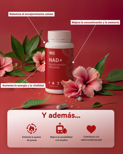 Nad+ Nicotinamida Ribósido 300mg Puro 100% Nutribrain 90 Cápsulas_4