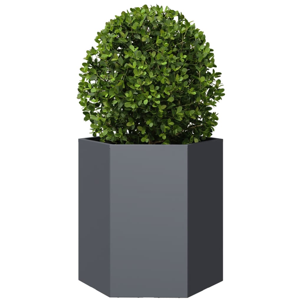 Jardineras Hexagonales 2 Uds Acero Antracita 46x40x45 Cm_4