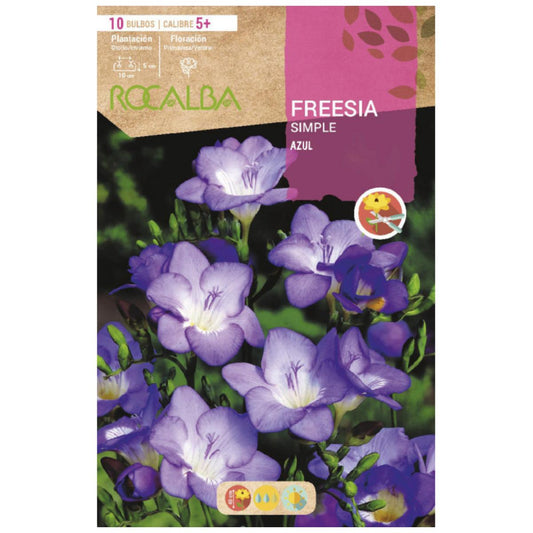 Bolbo de frésia simples azul 10 unidades Rocalba