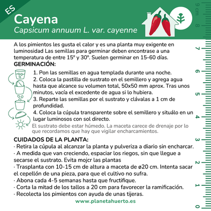 Kit de auto-cultivo de pimenta de Caiena Planeta Huerto
