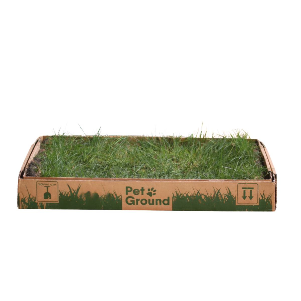 Petground, Arenero Para Gatos, Cama De Césped Natural, Hierba Gatera, Alfombra Olfativa S: 62 X 40 Cm_1
