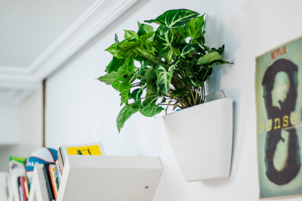 Jardín Vertical Modular Citysens Con Riego Manual De 6 Macetas – Blanco, Polipropileno 100% Reciclado_0