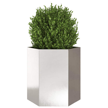 Jardineras Hexagonales 2 Uds Acero Inoxidable 46x40x45 Cm_4