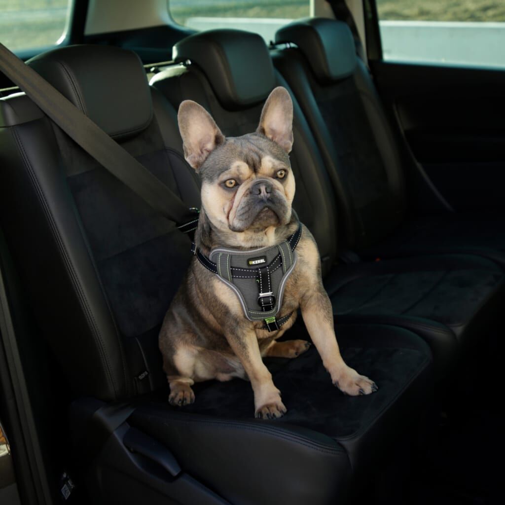 Kerbl Arnés De Seguridad De Coche Para Mascotas Negro 50-65 Cm_4