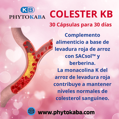 Colester Kb 30 Cápsulas Con Levadura De Arroz Rojo_1