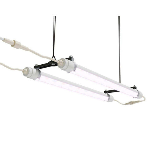 Luz de cultivo LED de espectro completo Brighton 