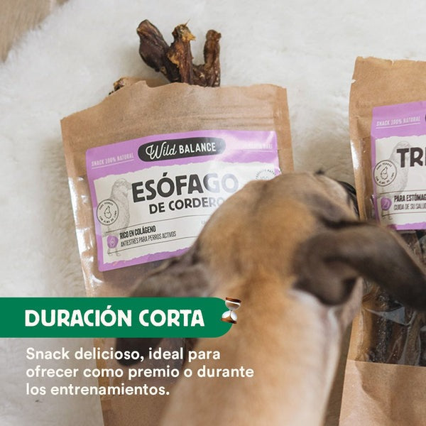 Mordedor Natural Wild Balance para Esófago de Cordeiro 50g
