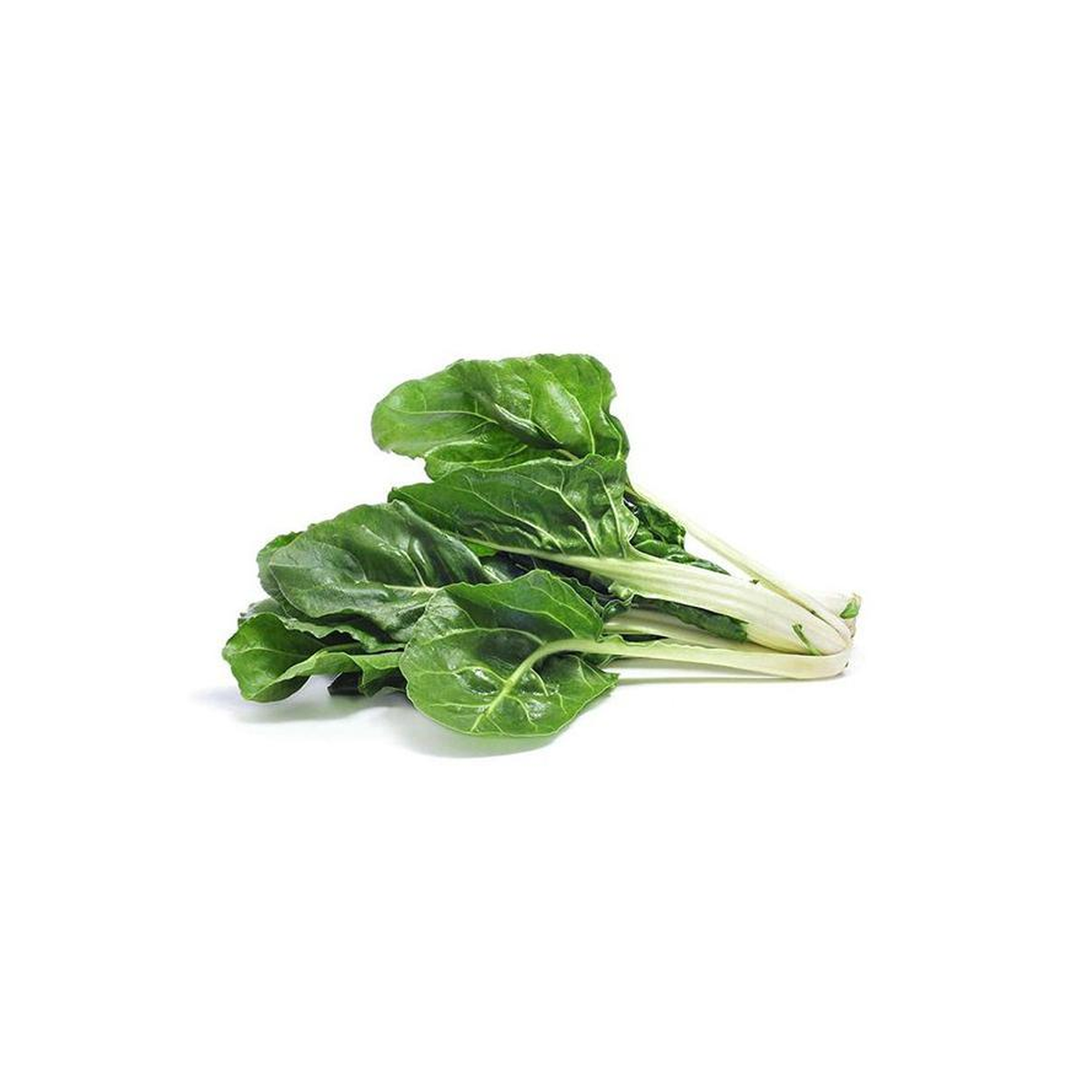 Mudas de acelga verde, 6 unidades, linha tradicional