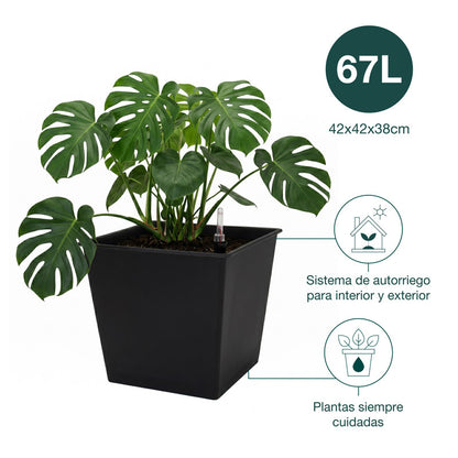 Pack De 3 Macetas Autorriego De Polipropileno Interior Y Exterior Hortalia 67 L 42x42x38 Cm_1