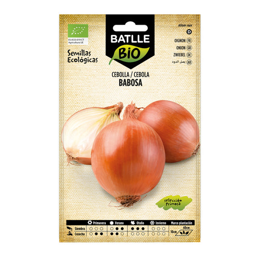 Sementes de cebola lesma selecionadas Primosa orgânicas Batlle
