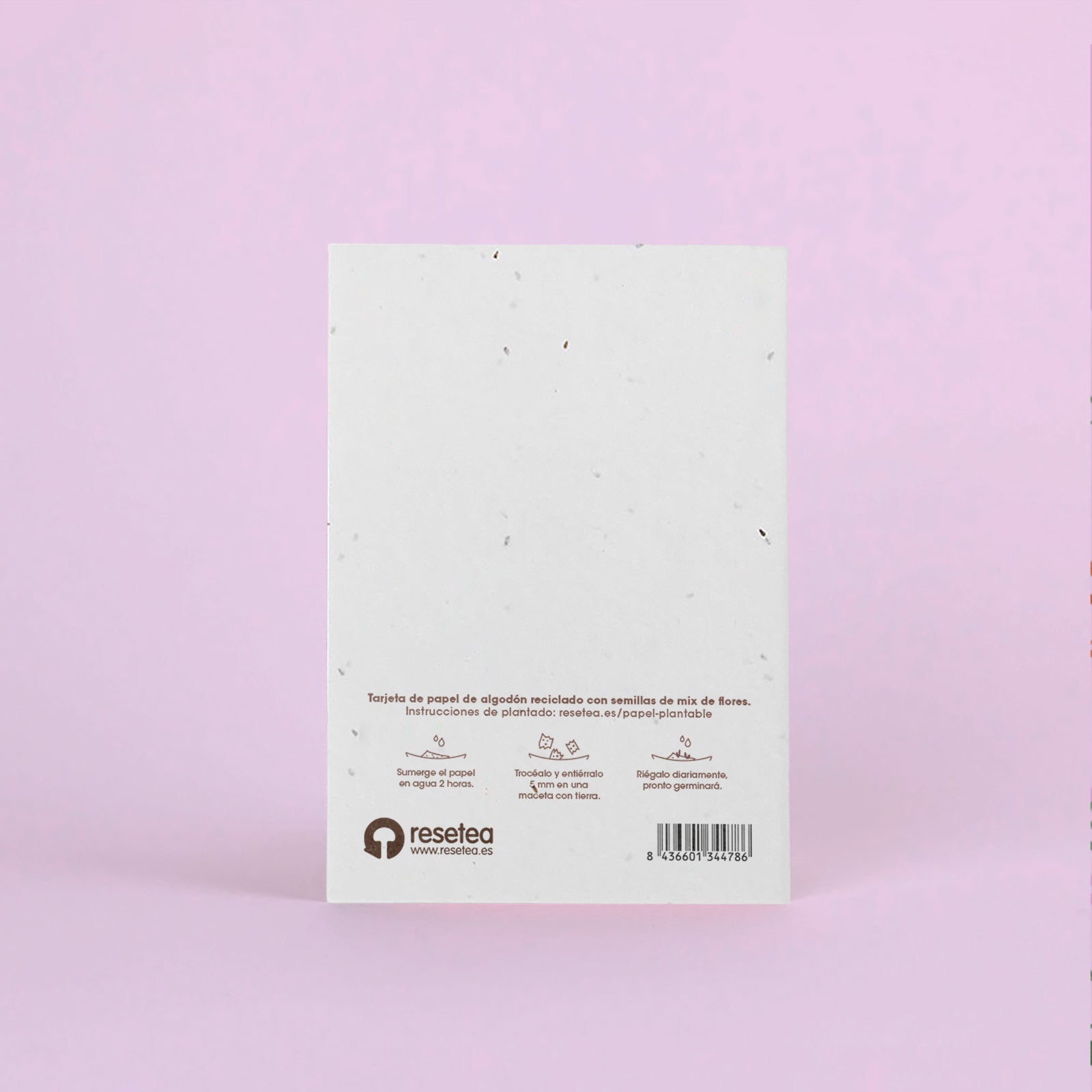 Postal Plantable Felicidades – Papel de Algodón Reciclado con Semillas de Flores - Resetea_1