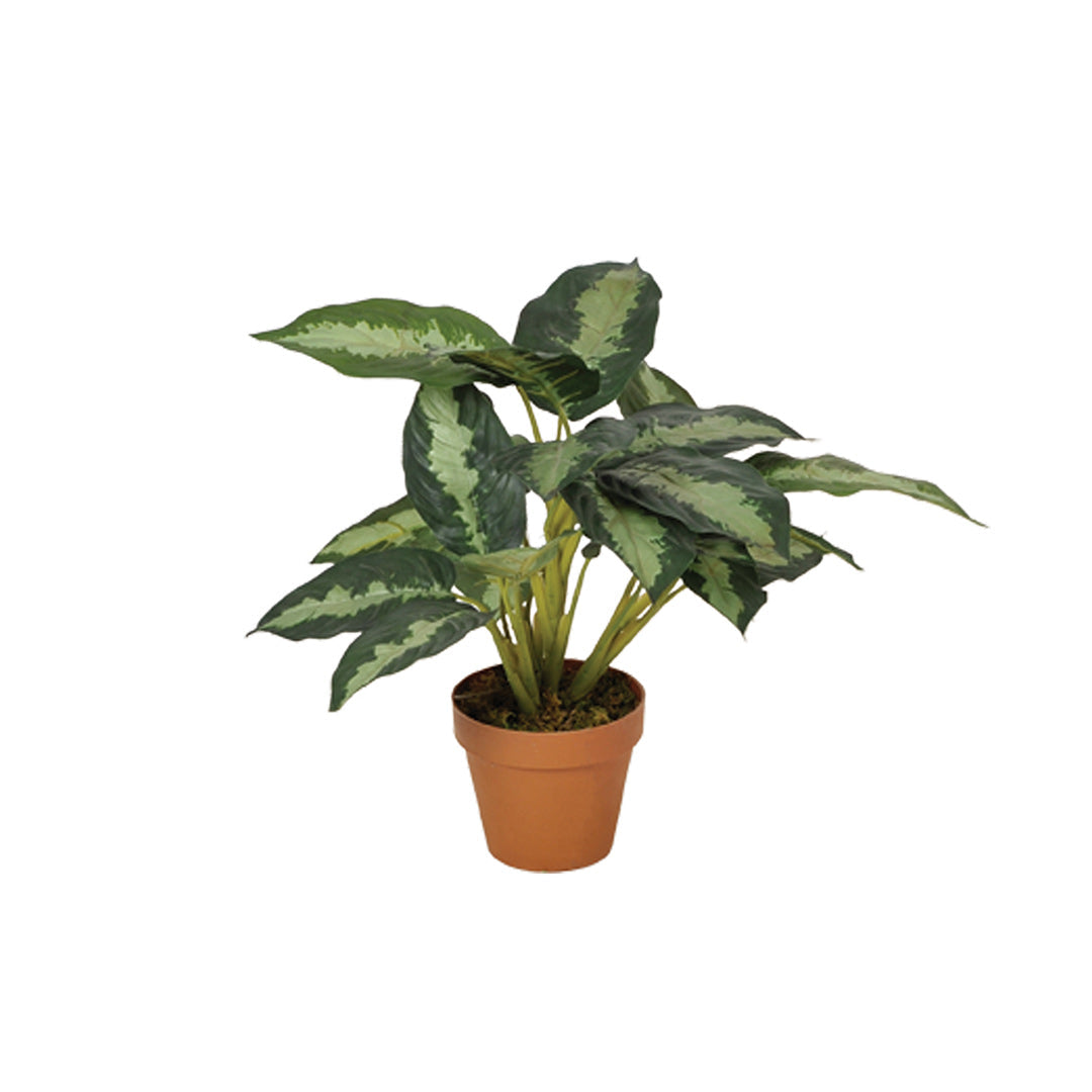 Planta Artificial Calatea - Decoración Natural Y Sin Mantenimiento 0.49 M / Multicolor_0