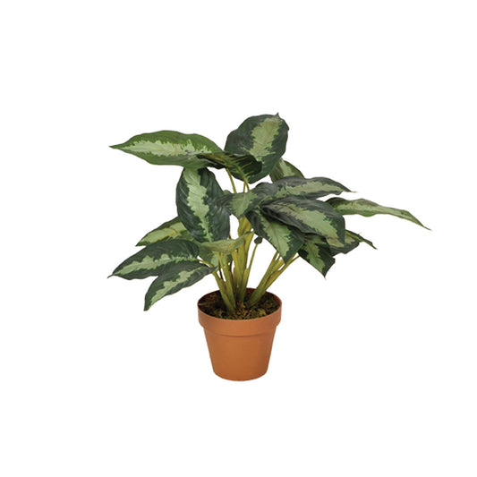Planta Artificial Calatea - Decoración Natural Y Sin Mantenimiento 0.49 M / Multicolor_0