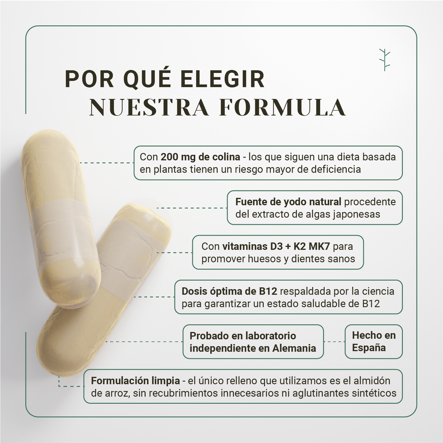 Multivitaminas veganas all-in-one – b12, d3, k2, hierro y zinc para dieta vegana (4 meses)_2