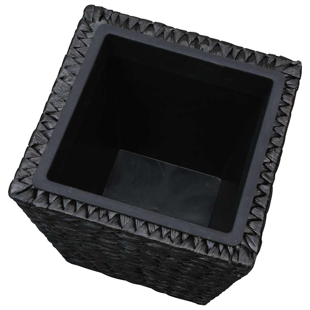 Conjunto De Arriates 3 Piezas Jacinto De Agua Negro_5
