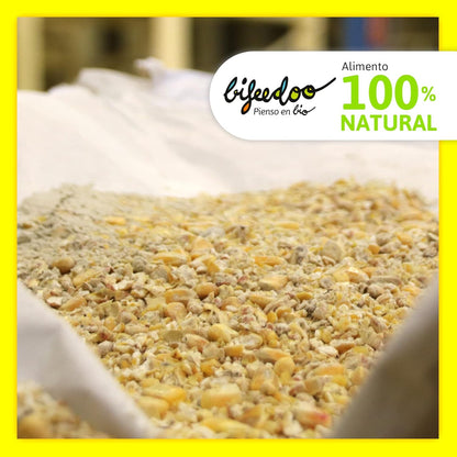 Pienso Gallinas Ponedoras ECOLÓGICO 20 kg – Cáscara Dura, Natural y Equilibrado para Producción de Huevos_4