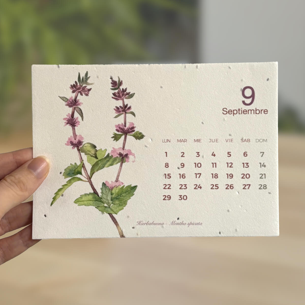 Calendário Plantável 2026 Planet Garden Transforme o tempo em natureza