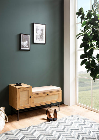 Zapatero Con Asiento 100x60x38 Cm_2