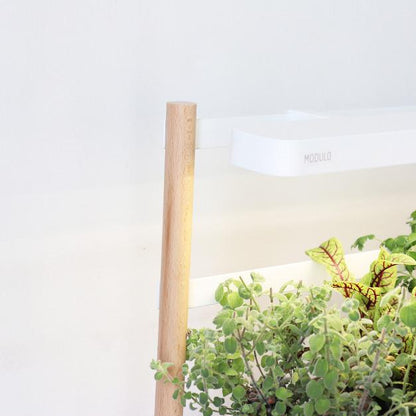 MÓDULO Jardim Interior Prêt à Pousser