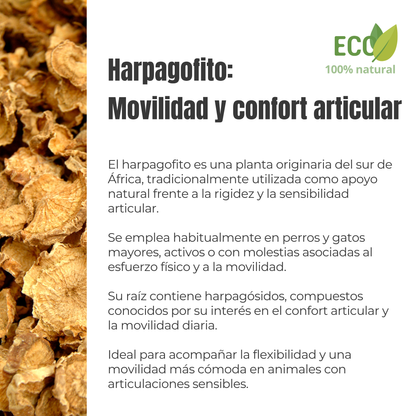 Suplemento natural para el confort articular de perros y gatos – Harpagofito ECO 100 g_2