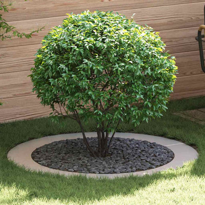 Adecuado Para Anillos De Árbol Plano 5 Uds. Plateado Ø90/120 Cm_1