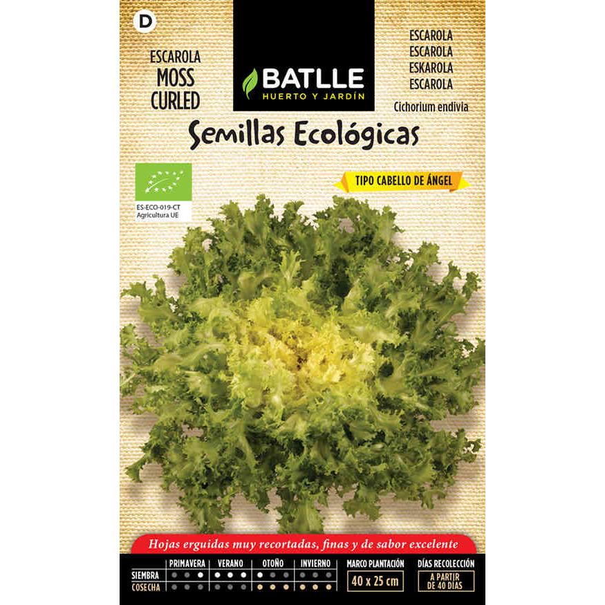 Sementes de endívia onduladas de musgo e cabelo de anjo orgânico Batlle