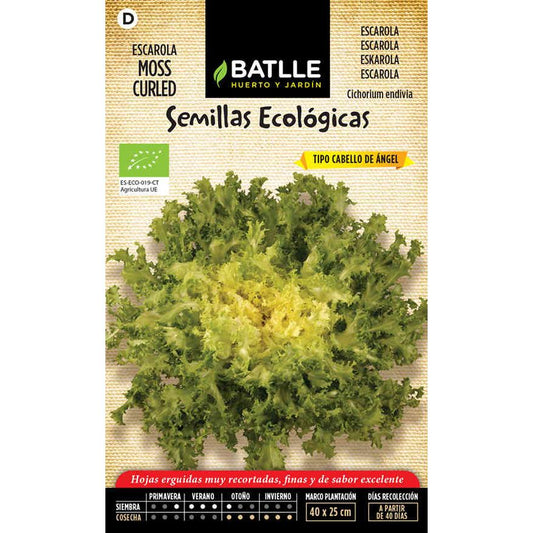 Sementes de endívia onduladas de musgo e cabelo de anjo orgânico Batlle