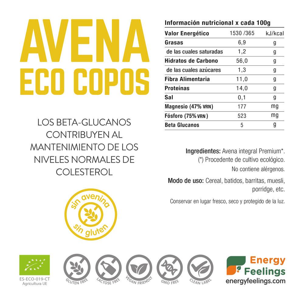 Flocos de aveia sem glúten Energy Feelings ECO 1 kg