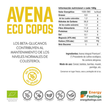 Flocos de aveia sem glúten Energy Feelings ECO 1 kg