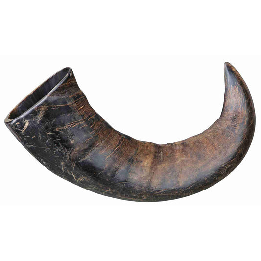 Mastigáveis ​​Trixie Buffalo Antler, grandes