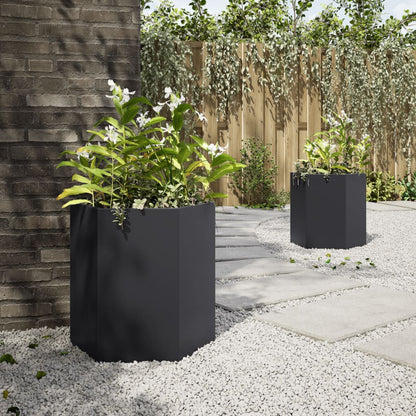 Jardineras Hexagonales 2 Uds Acero Negra 46x40x45 Cm_2