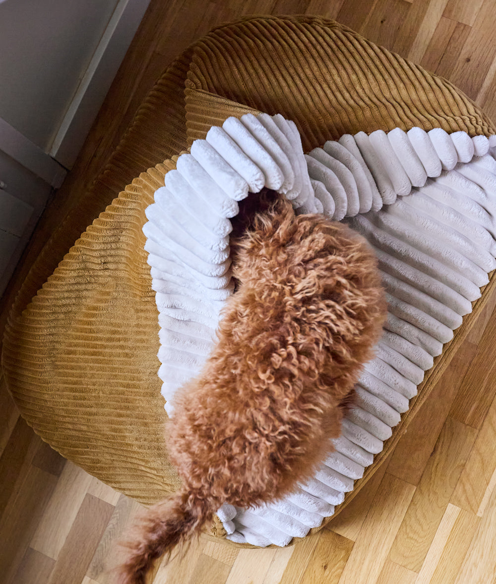 Cafide Cama Con Capucha Para Perro Con Tejido De Pana Naranja. Modelo Maso. Talla S (50x60x10 Cm)_1
