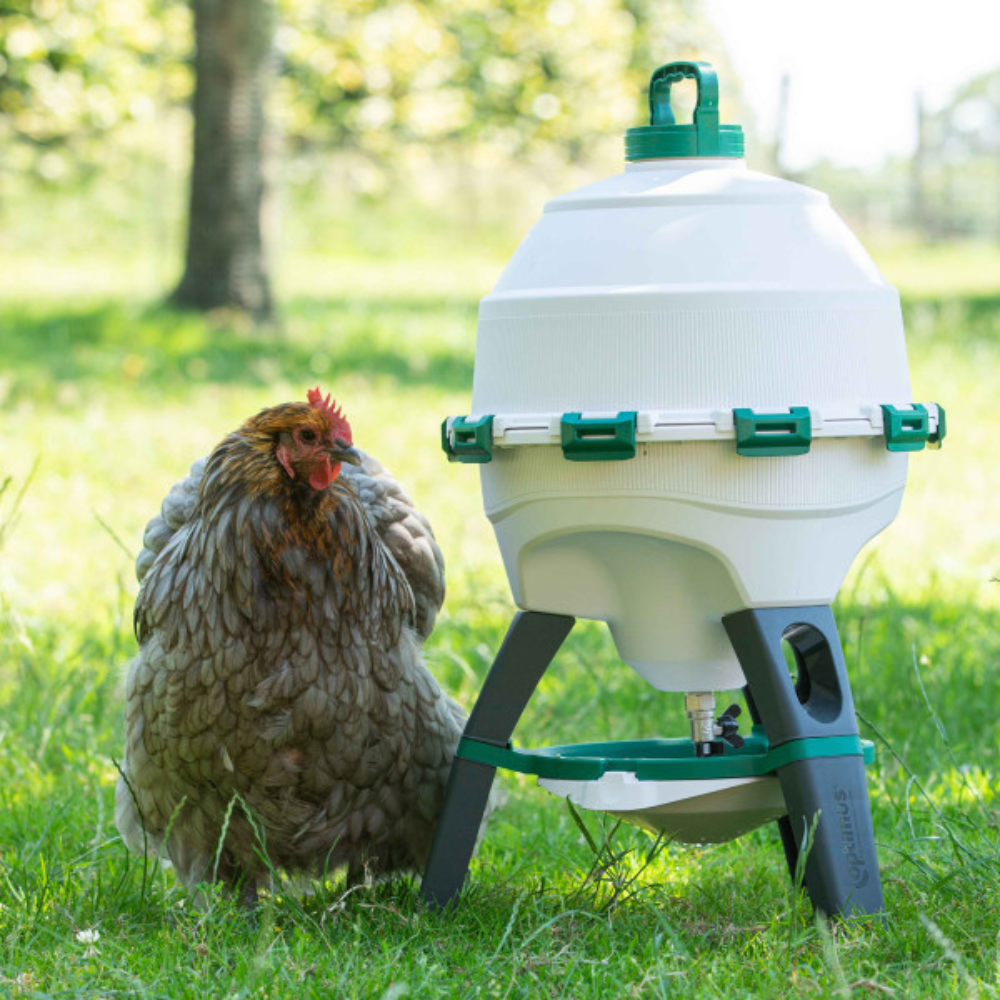 Finca Casarejo Bebedero Sifónico Para Aves (25l) - Bebedero Con Patas Para Gallinas De Plástico Resistente_2