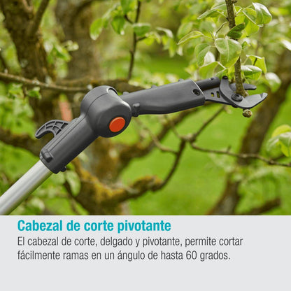 Conjunto de tesoura telescópica a pilhas Gardena